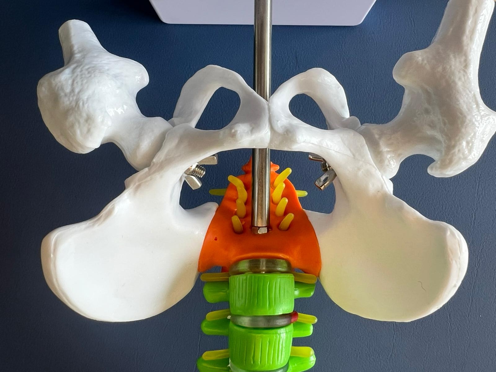 Beckenbodentherapie Wetzikon